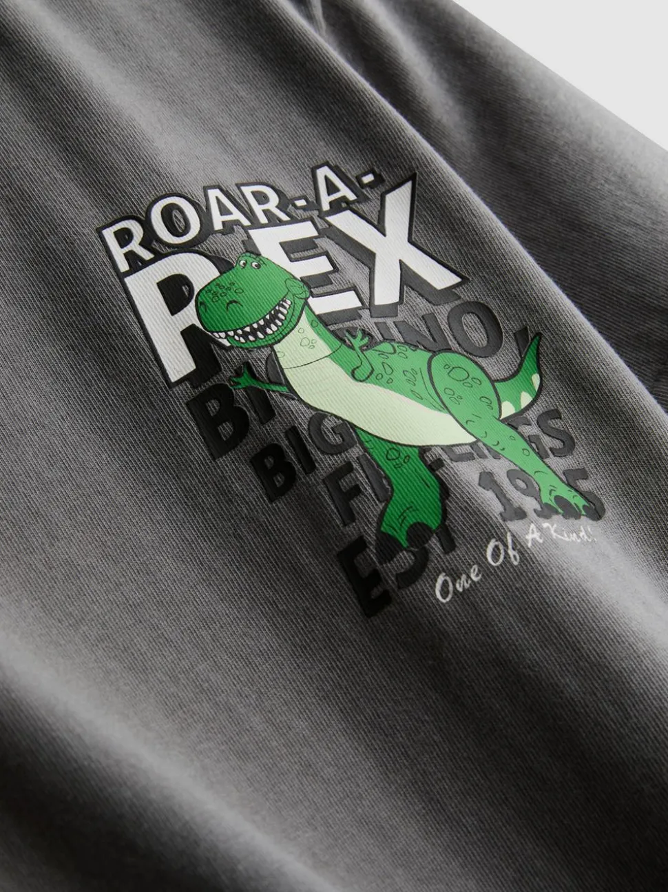 1–9 Jahre | „Disney Pixar Toy Story Rex“ T-Shirt