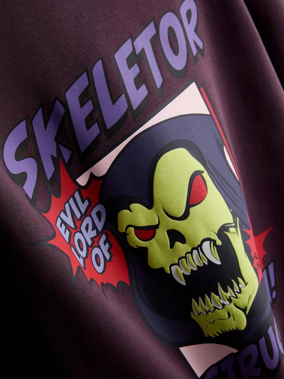 7–15 Jahre | „Masters of the Universe“ Hoodie