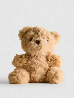 Kleines Teddybär-Plüschtier